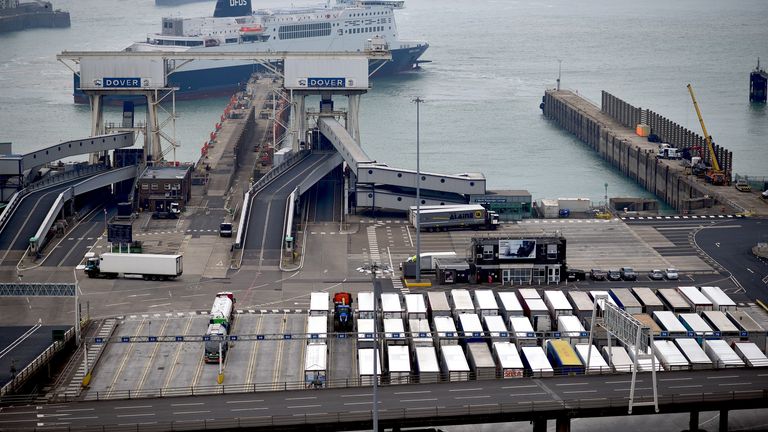 Freight lorries wait on the quayside to board a ferry, as a DFDS ferry arrives at the Port of Dover, in Dover on the south coast of England on June 12, 2020. - Britain will apply "light-touch" border checks on goods from the European Union when the Brexit transition period ends this year so as to help firms hit by the coronavirus crisis