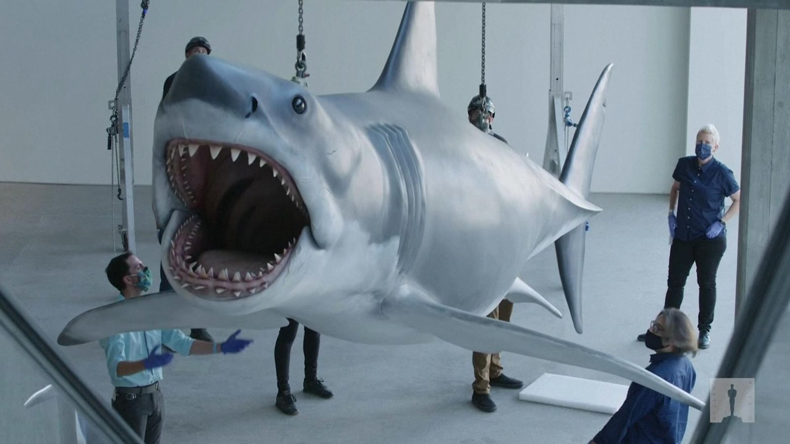 Final 'Jaws' shark docks at LA's Academy Museum | Ents & Arts News