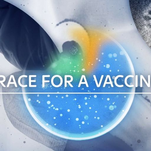 Tracking the global effort for a COVID vaccine