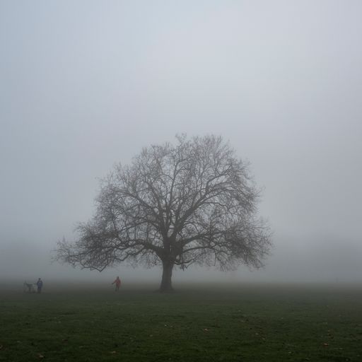 The latest weather forecast