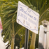 Mini red wave in Florida as many Cuban Americans support 'stronger' Trump