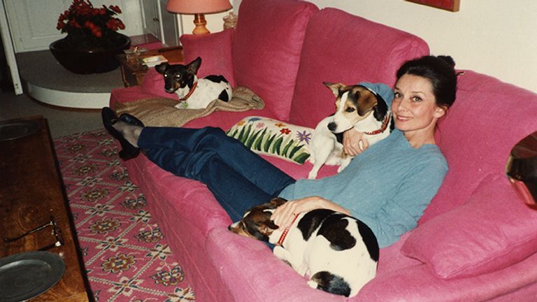 Audrey at home with her Jack Russells in 1987 {AHT caption:  La Paisible, 1987.}
