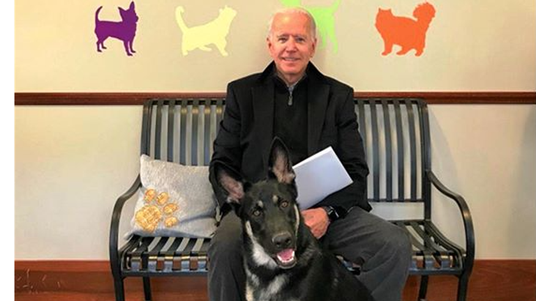 Joe Biden will be the first president to take a rescue dog into the White House. Credit: Delaware Humane Association Instagram