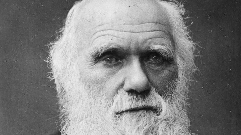 Charles Darwin. Pic: Cambridge University Library