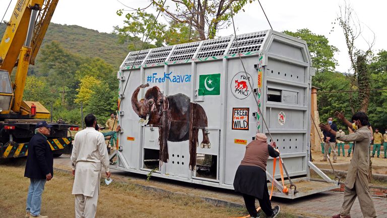 Animal experts gather as a crane uplifting crate carrying Kaavan, an elephant to be transported to a sanctuary in Cambodia, at the Marghazar Zoo in Islamabad, Pakistan 