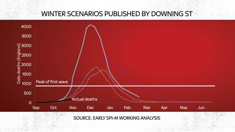 Winter scenarios published by Downing Street