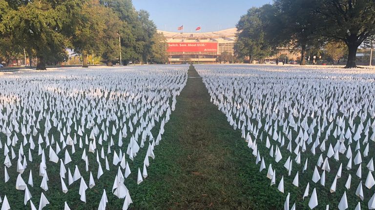 Flags planted in memory of people who have died of COVID in Washington DC