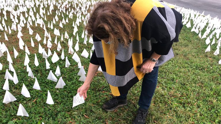 Flags planted in memory of people who have died of COVID in Washington DC - pictured: Lori Cooper 