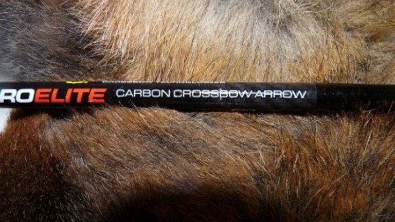 Police are appealing for information after a fox was killed by a crossbow on 5 November