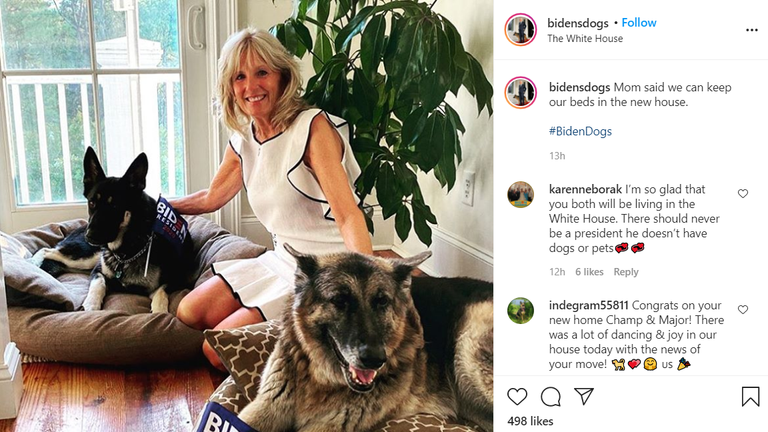 The Bidens will be the first First Family to bring a rescue dog to the White House. CREDIT: bidendogs Instagram