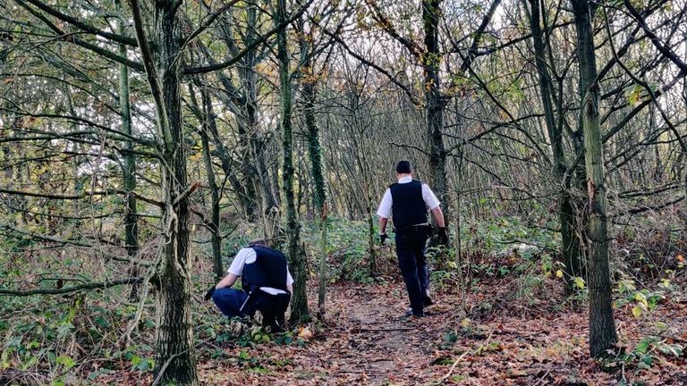 Police searched woodland in a London park for weapons