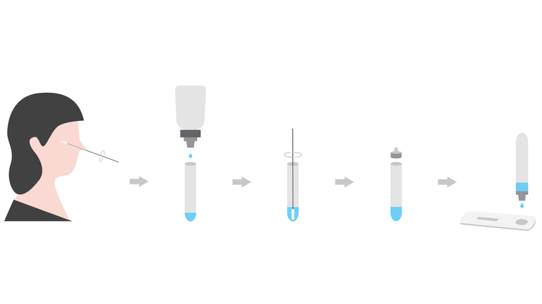 Lateral flow testing uses a testing strip like a pregnancy test. Pic: Siemens