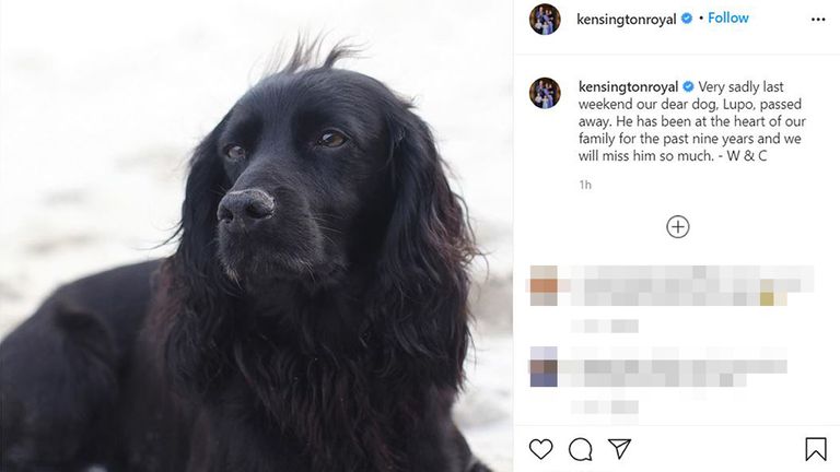 Screengrab from the official Instagram account of the Duke and Duchess of Cambridge of the announcement of the death of their dog, Lupo