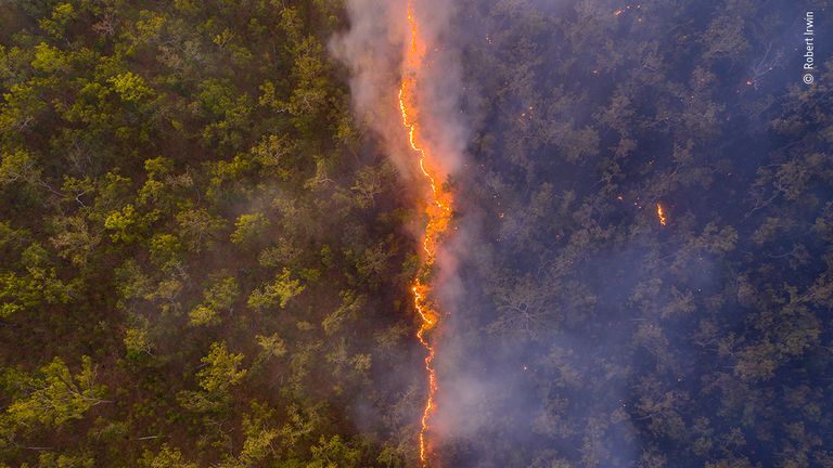 Bushfire by Robert Irwin, Australia