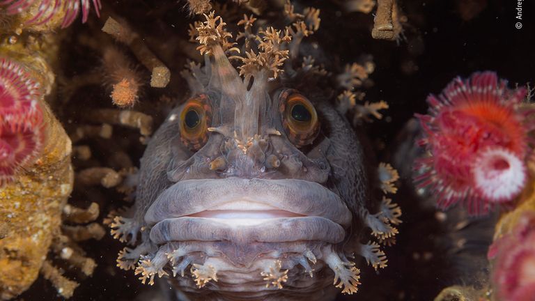 Eye To Eye by Andrey Shpatak, Russia