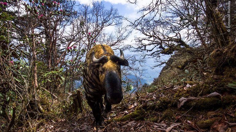 Spirit Of Bhutan by Emmanuel Rondeau, France