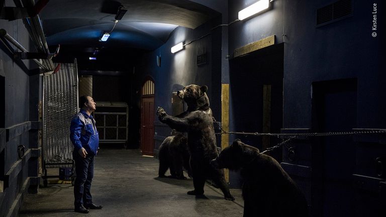 Backstage at the Circus by Kirsten Luce, US