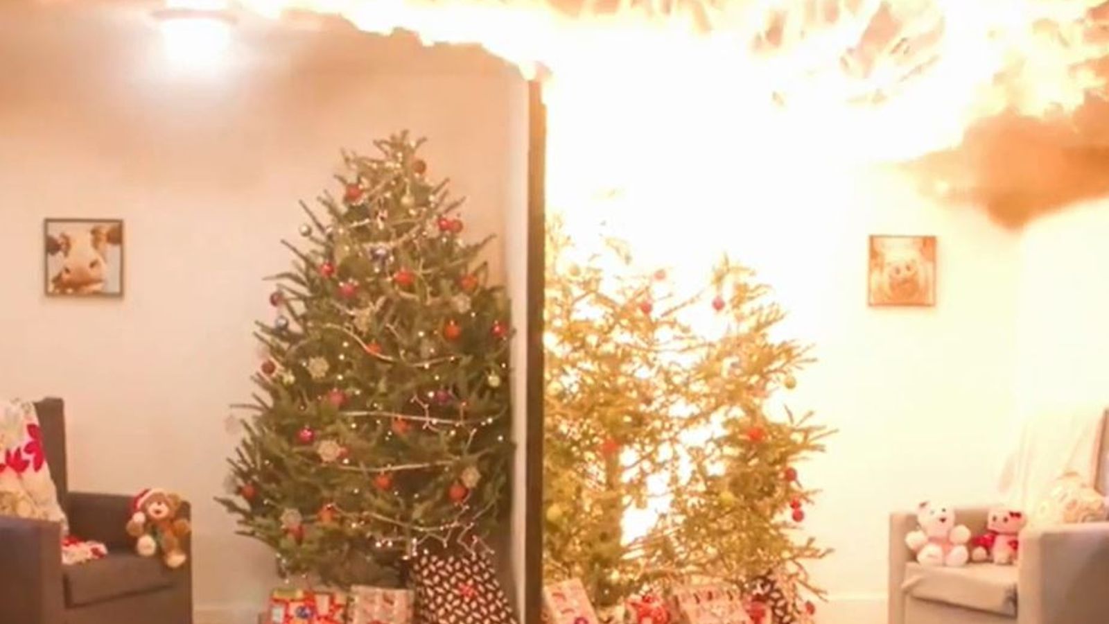 Watch a dry Christmas tree an inferno in US safety warning US