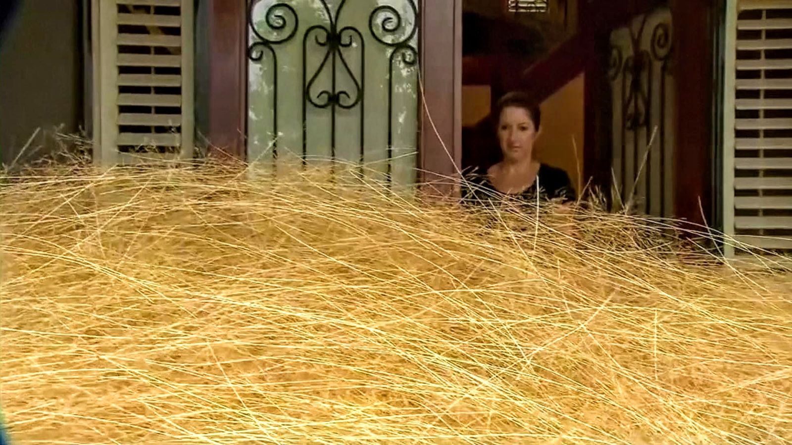 Tumbleweed takes over suburban street in Australia World News Sky News