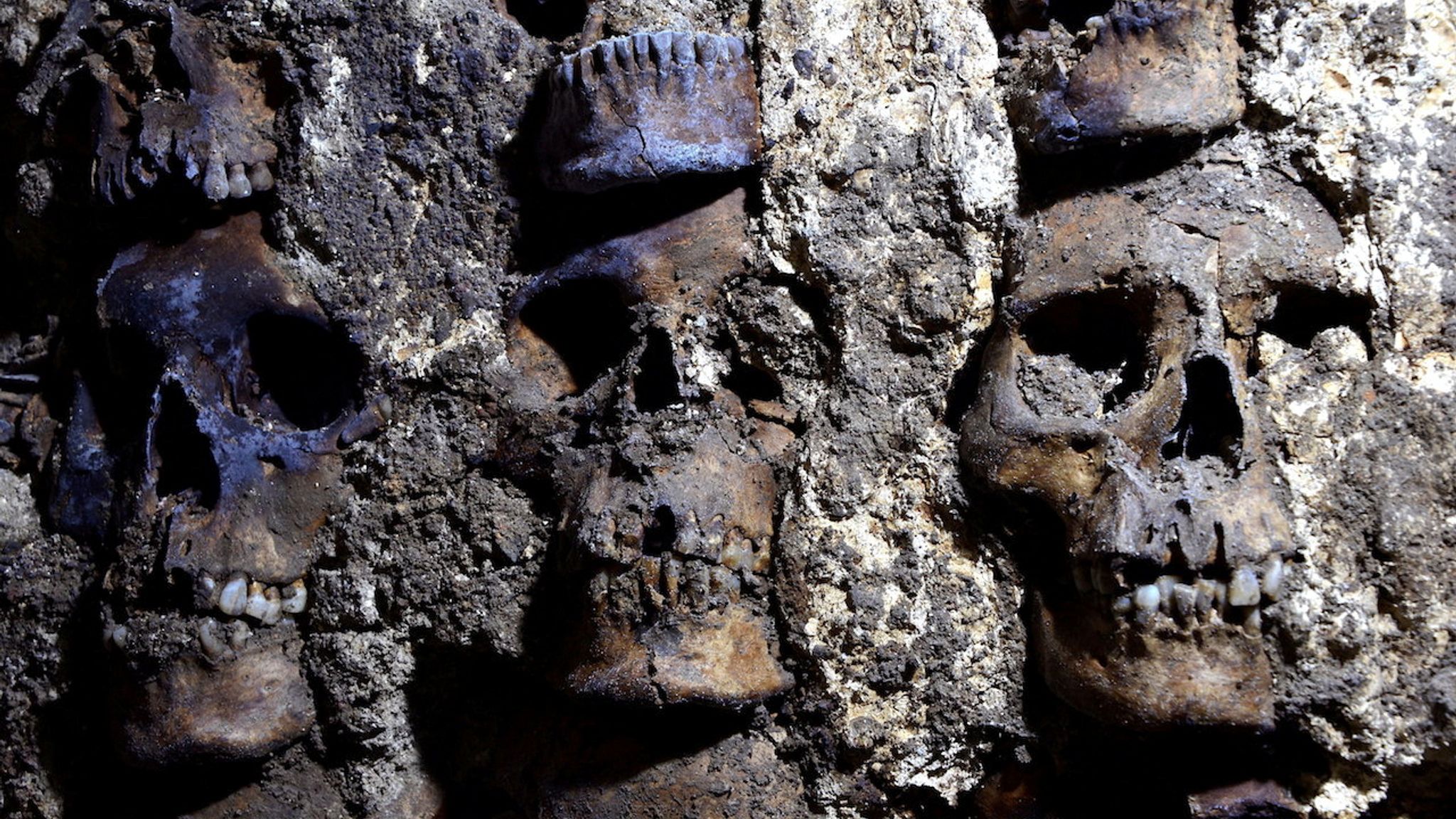 Scores of skulls kept as trophies found near Aztec temple in Mexico | World  News | Sky News