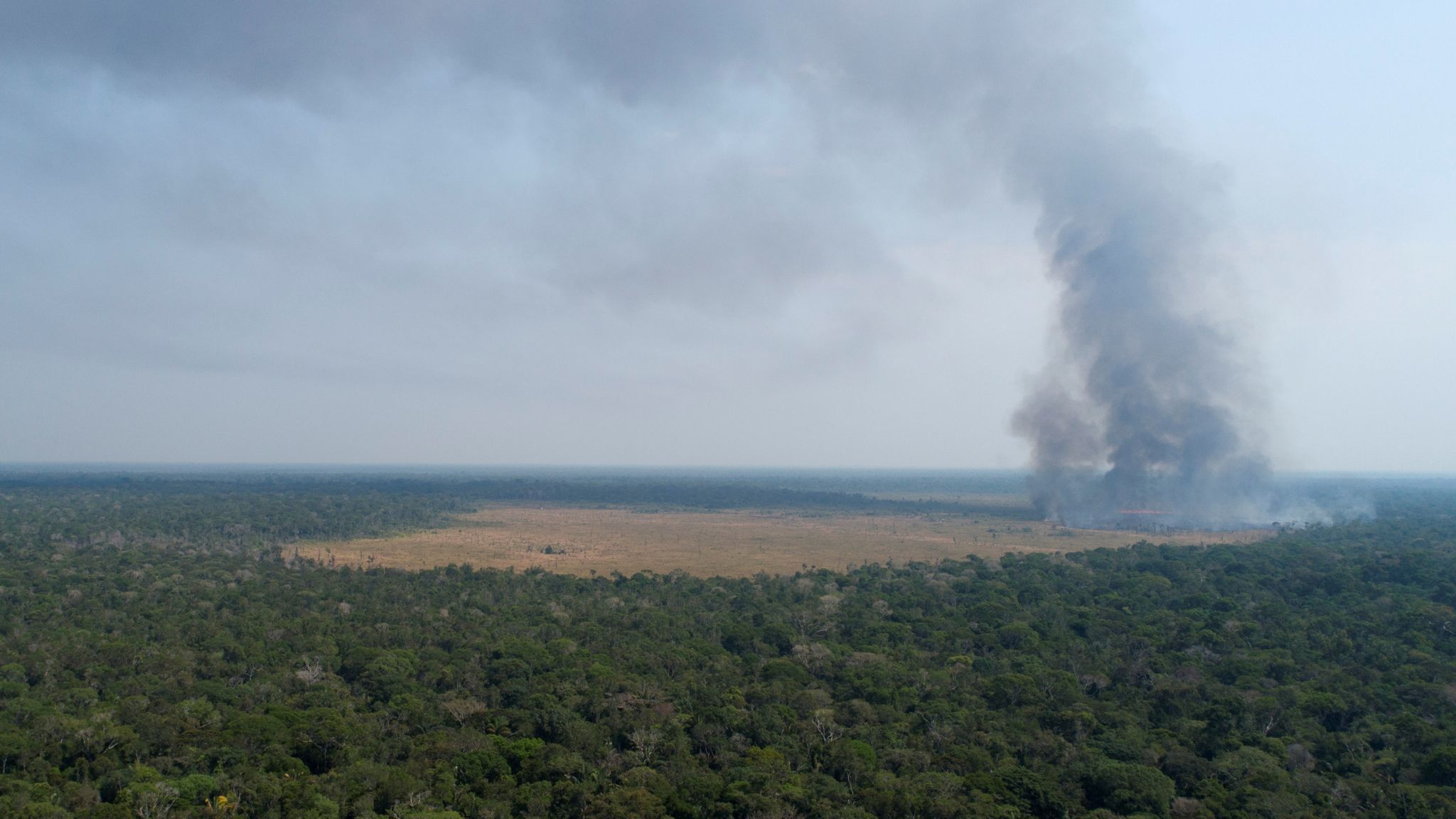 Brazil Amazon Deforestation Hits 12 Year High Under President Bolsonaro World News Sky News