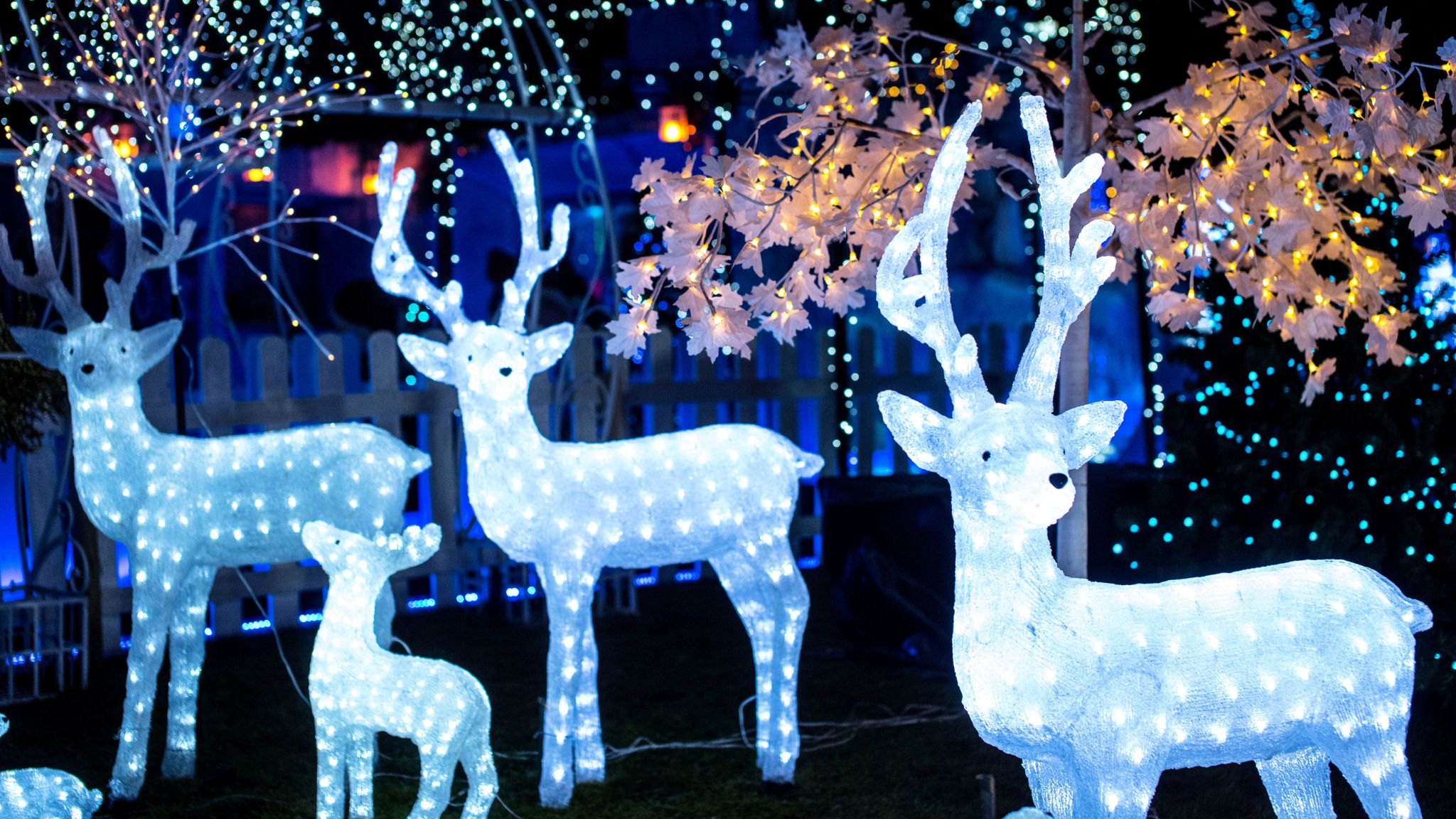 COVID19 Charity Christmas lights display switched off after social