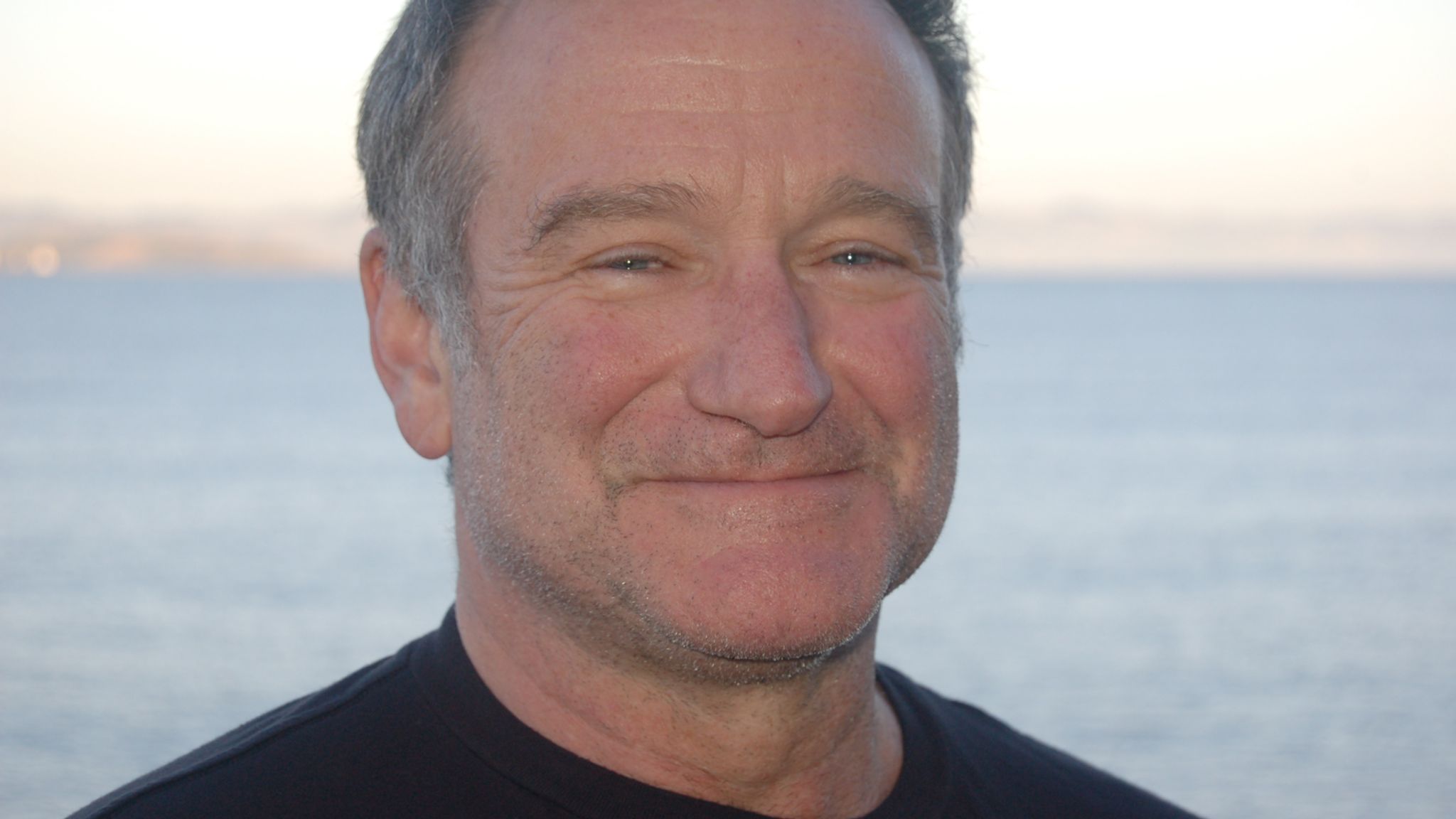 robin williams depression