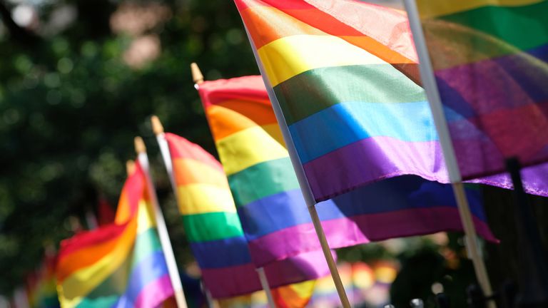 NEW YORK, NEW YORK - JUNE 22:  Pride Flags decorate Christopher Park on June 22, 2020 in New York City. Due to the ongoing Coronavirus pandemic, this year's march had to be canceled over health concerns. The annual event, which sees millions of attendees, marks it's 50th anniversary since the first march following the Stonewall Inn riots.on June 22, 2020 in New York City. (Photo by Dimitrios Kambouris/Getty Images,)