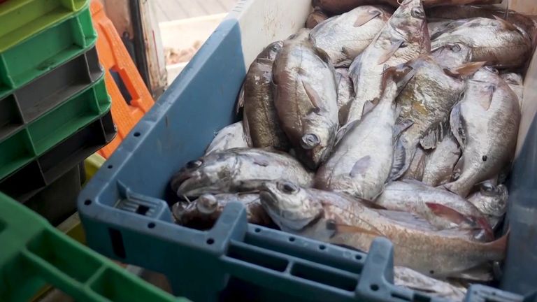 Fisheries proving to be key a Brexit deal