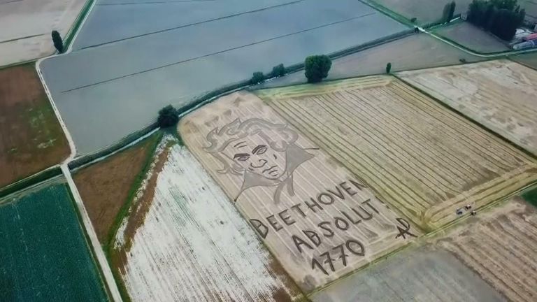 Beethoven portrait drawn into field for 250th birthday
