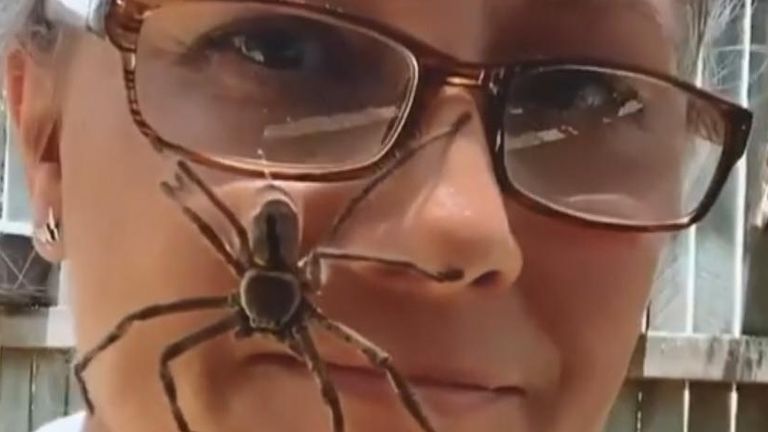 Spider climbs woman&#39;s face