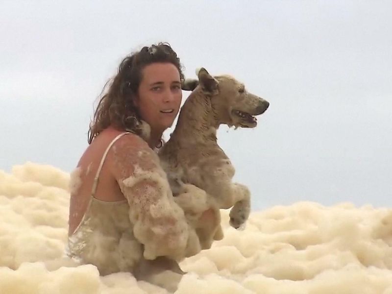 Australia Relieved Owners Rescue Dog From Sea Foam Churned Up By Heavy Rains And Extreme Weather World News Sky News Australia Relieved Owners Rescue Dog From Sea Foam Churned Up By Heavy Rains And Extreme Weather World News Sky News