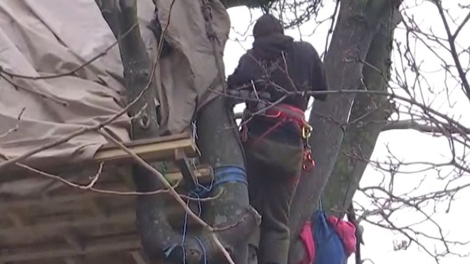 HS2 protesters occupy trees in Euston, while others dig a tunnel under