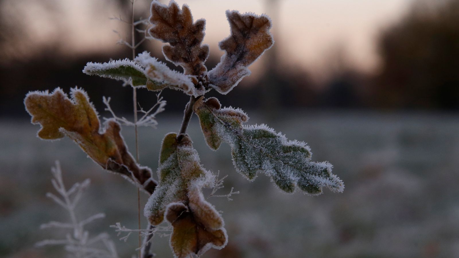 UK weather: Met Office issues warning as snow and ice forecast this ...