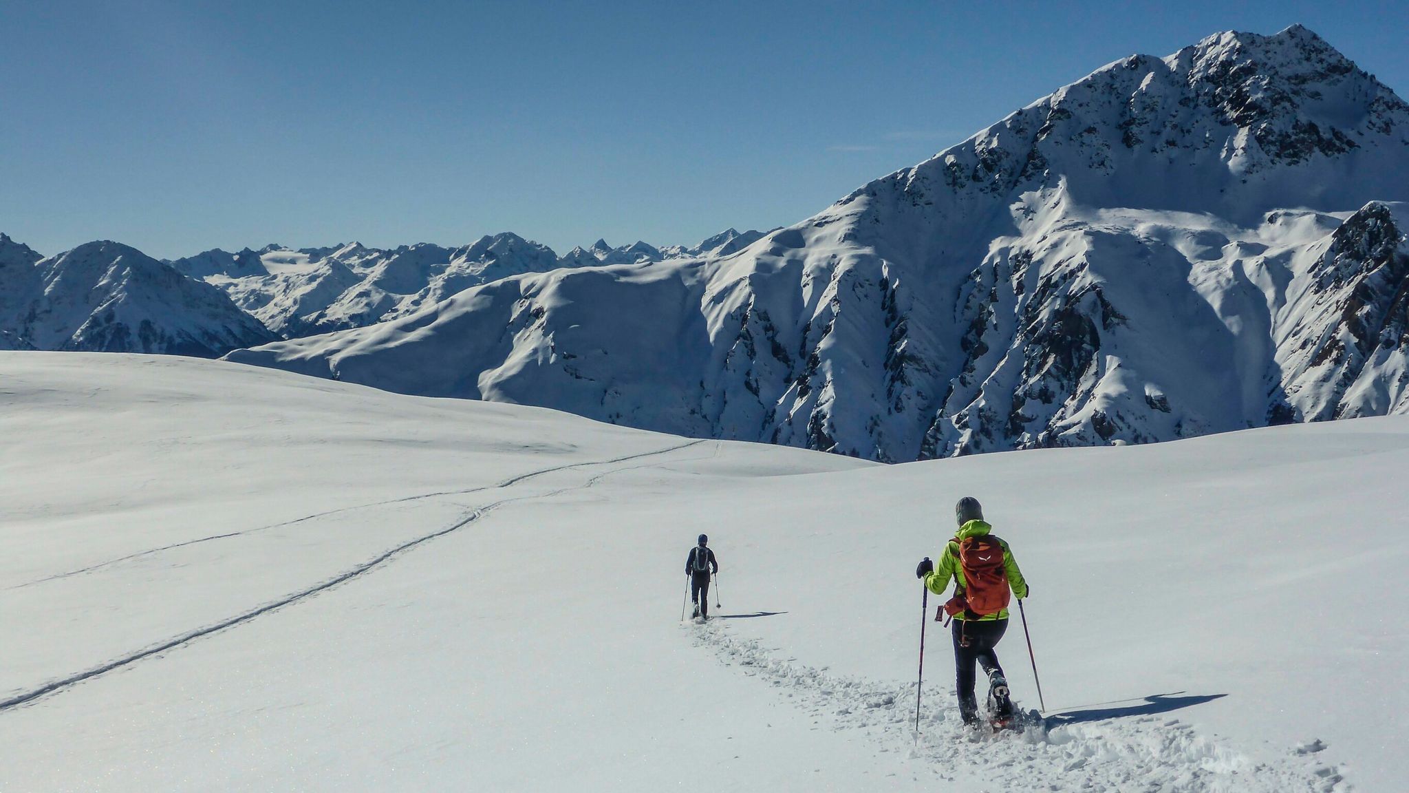 Hero dogs bark to alert rescuers to hikers trapped in avalanche | World ...