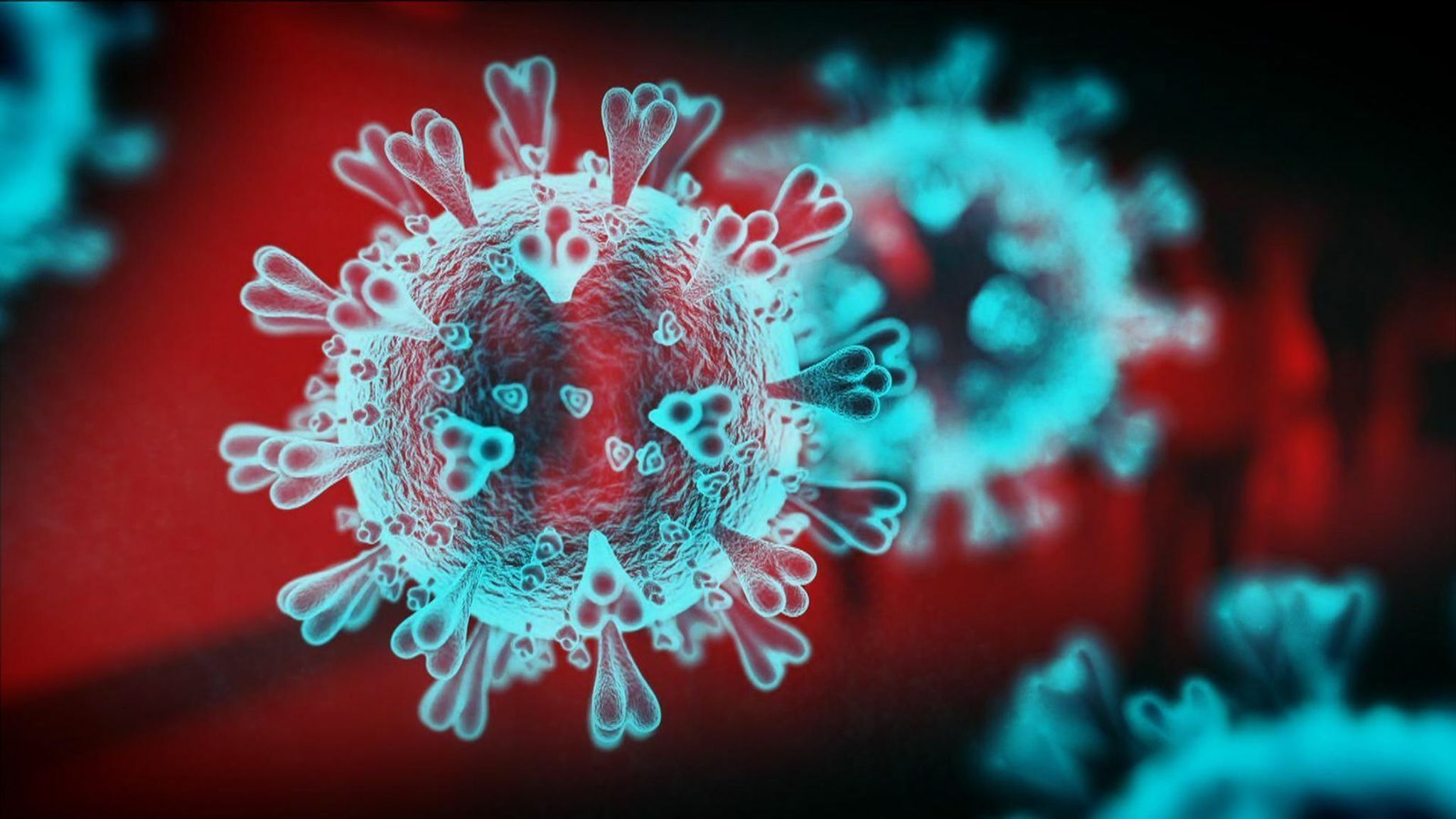 COVID19 'Really awful' new coronavirus variant B.1.1.529 identified
