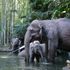 Disney to update Jungle Cruise ride after racism allegations