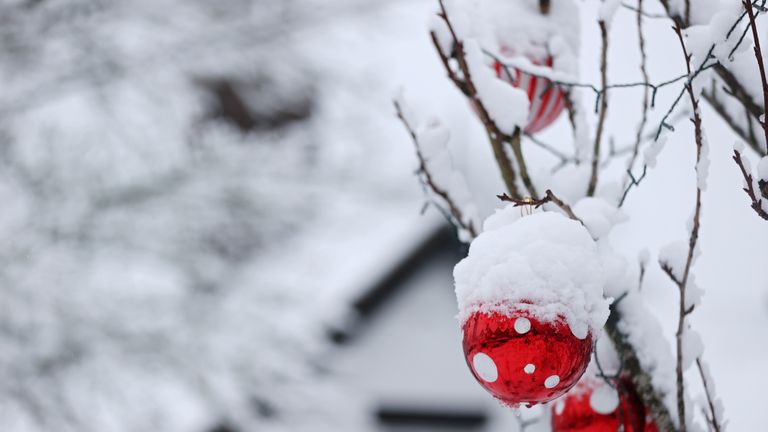 Christmas tree balls are covered in snow in Keele, Staffordshire, Britain, December 28, 2020. REUTERS/Carl Recine