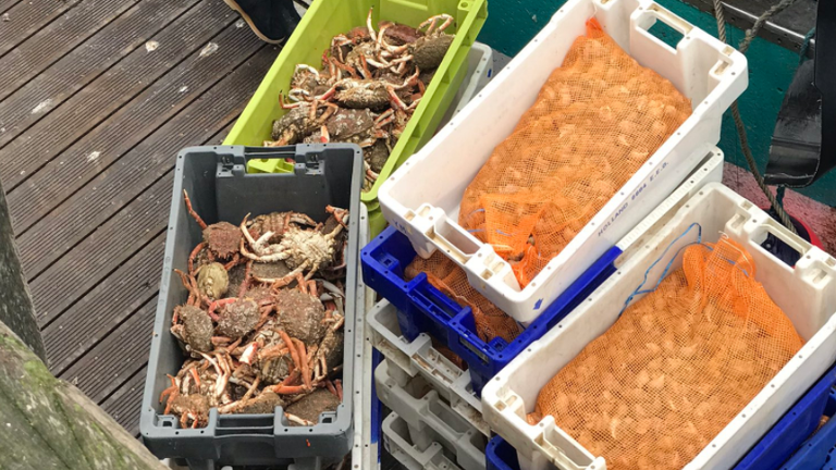 Laurent says his livelihood depends on accessing lobster and crab pots in British waters