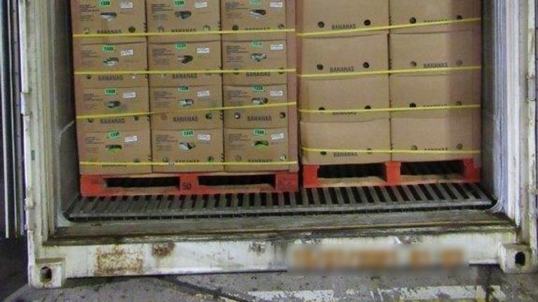 £76 million of cocaine hidden in bananas seized at Southampton