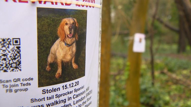 The Jasper family are offering a £5,000 reward for Ted's return