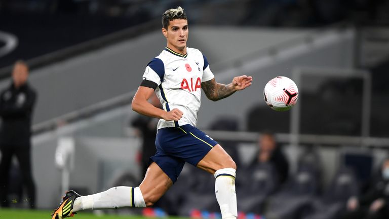 Erik Lamela, in action against Brighton in November, is one of the players criticised by Tottenham