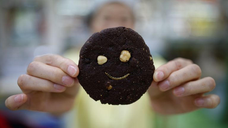 A mealworm cookie which is available in South Korea