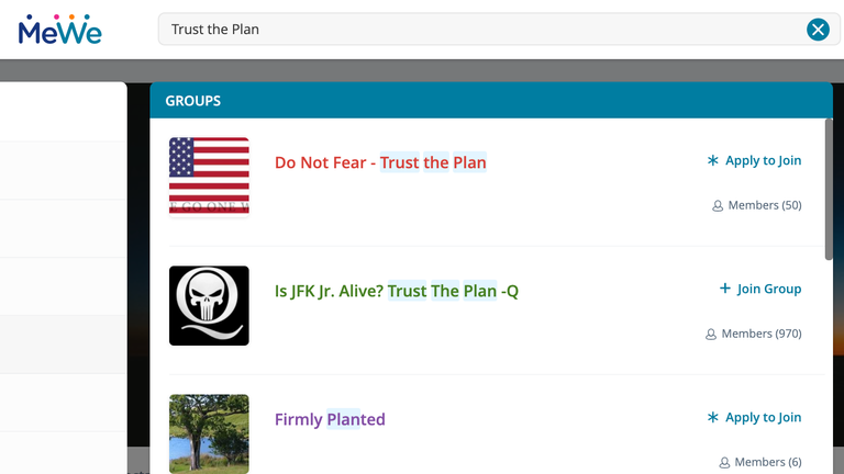 Several MeWe groups use the QAnon catchphrase &#39;Trust the Plan&#39;