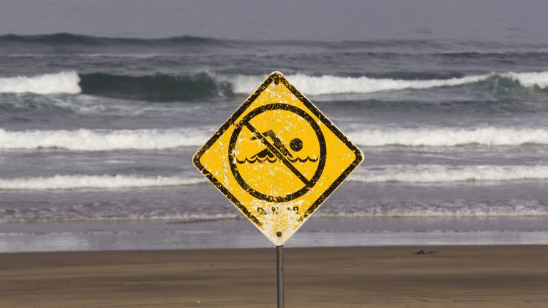 A no swimming sign is displayed at Muriwai Beach near Auckland, New Zealand, Thursday, Feb. 28, 2013