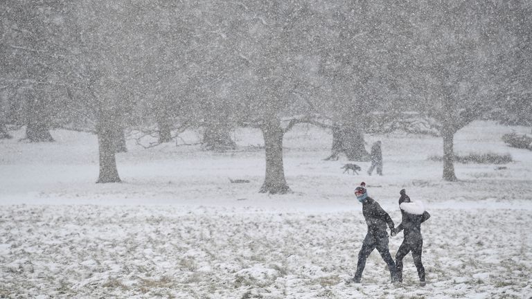 Snow in Richmond Park in February 2018