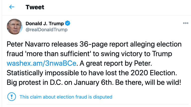 Trump tweeted: &#39;Big protest in DC on January 6th. Be there, will be wild!&#39;