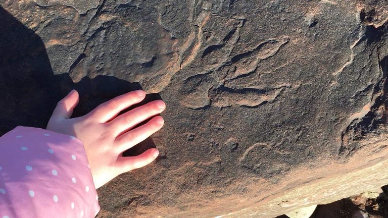 Lilly Wilder&#39;s hand next to the dinosaur footprint found in South Wales. Pic: Sally Wilder