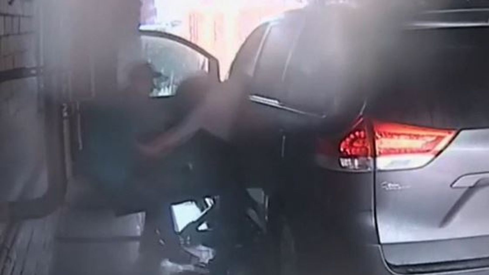 Woman bitten during carjacking in US | US News | Sky News