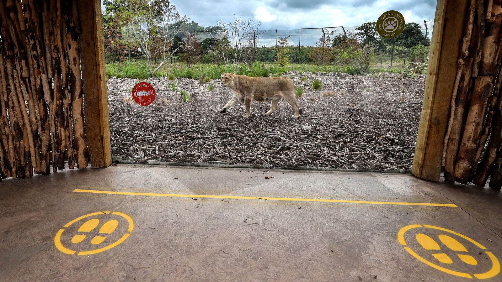 COVID19 Fears for animals if zoo funding is not addressed by govt